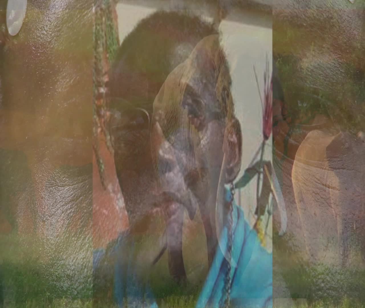 African Masters, Marilynn Hughes, Out of Body Travel