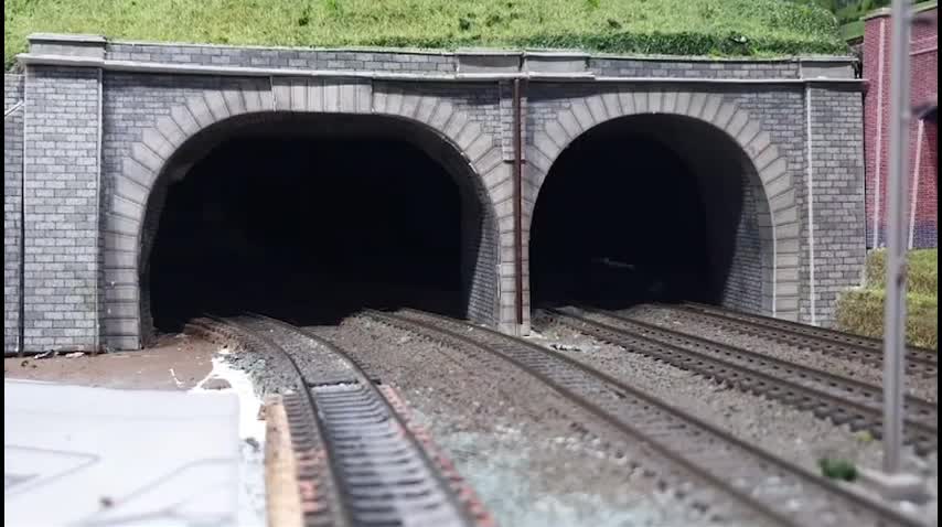 A cute cat comes from a toy tunnel