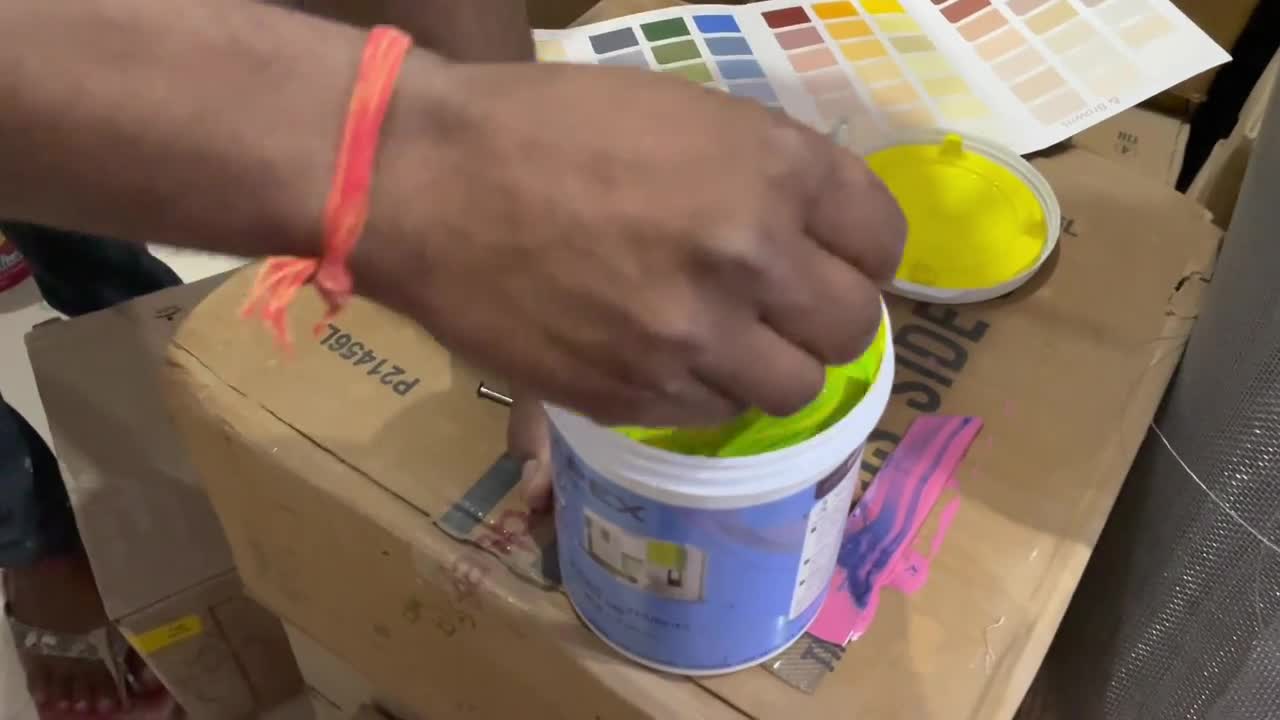 parrot colour mixing - asianpaints - apex - colour combination - stainer mixerp3