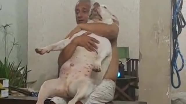 Son: dad, can i have a dog... FATHER: I don't want any more pets in this house....Two months later-