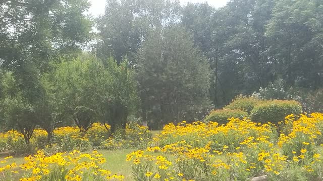 beautiful park