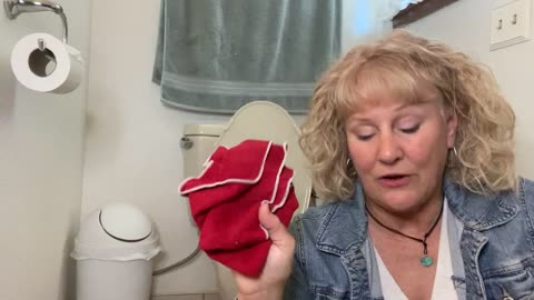Cleaning the toilet without bleach or toxins