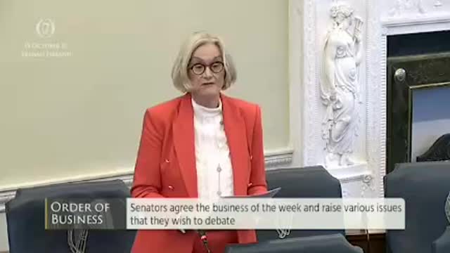 An Irish politician addresses the hate campaign in the Irish media against Purebloods. 19-10-21