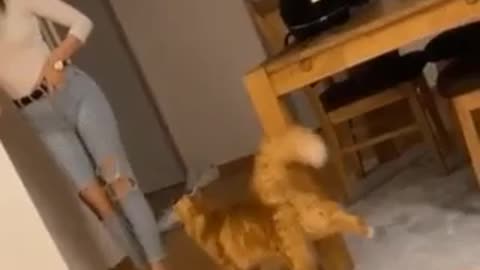morning gymnastics