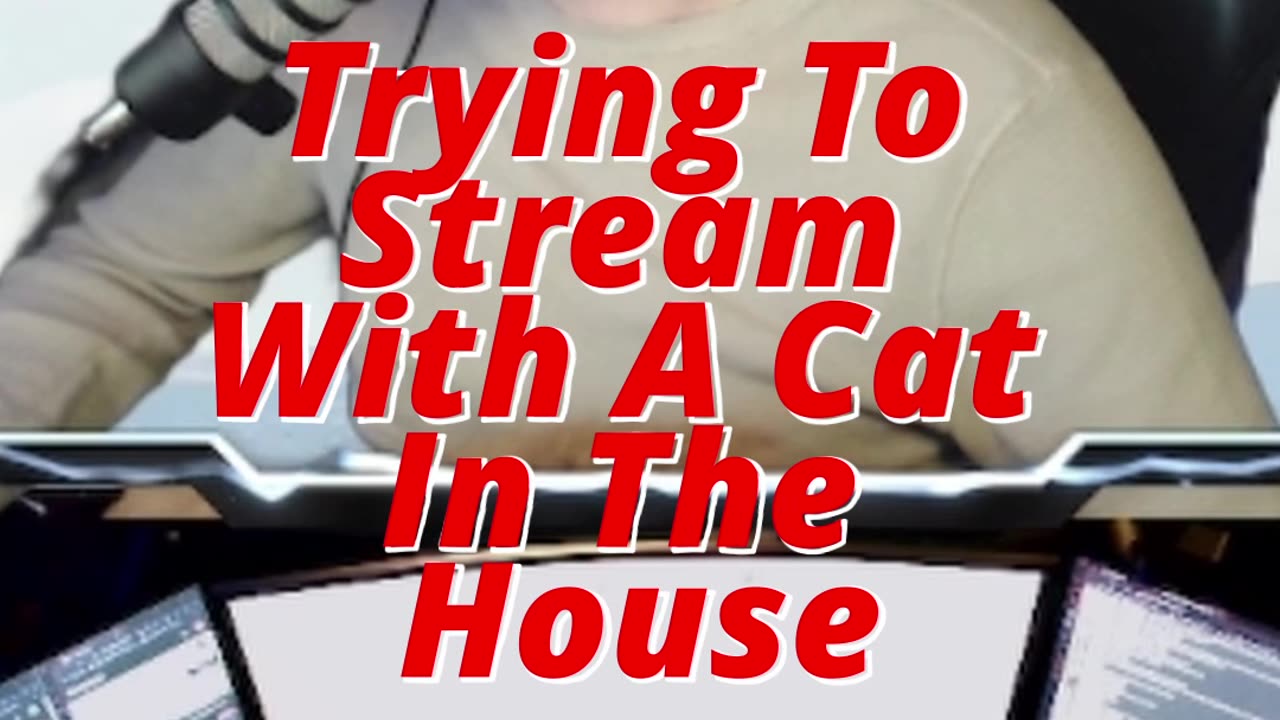 Trying To Stream With A Cat In The House