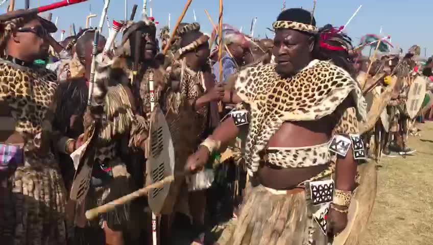 African Zulu wariors