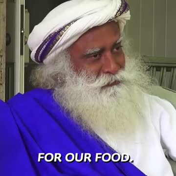 Slaughterhouses kill animals, not Diwali #sadhguru #shorts #diwali #fireworks #DontBanCrackers