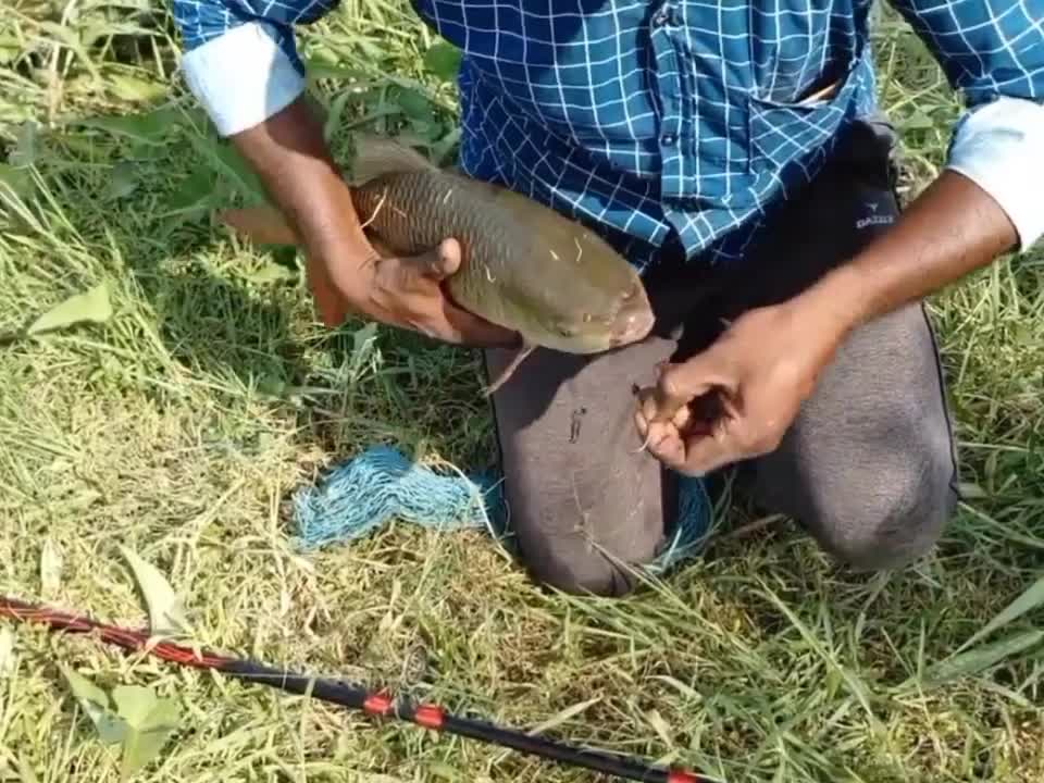 Hook Fiahing in Village River #fish #hook_fishing