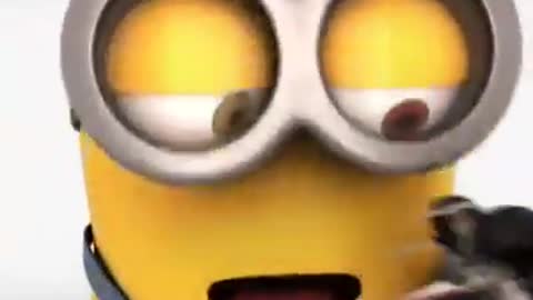 Funy funny 34
