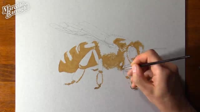 Draw A Realistic Picture Of Bees