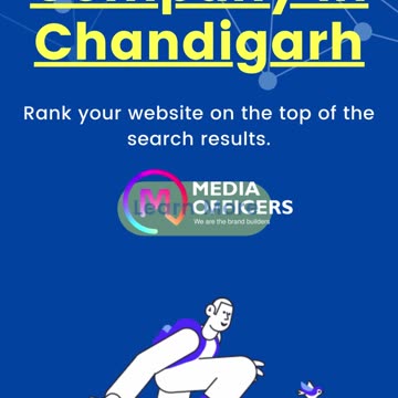 SEO Company in Chandigarh