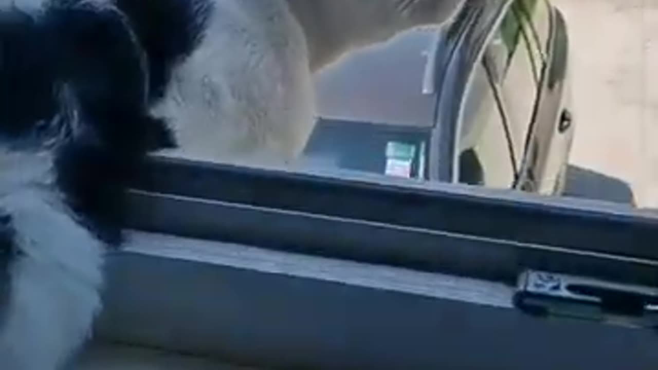 TRY NOT TO LAUGH 😆 Best Funny Videos Compilation 😂😁😆 Memes