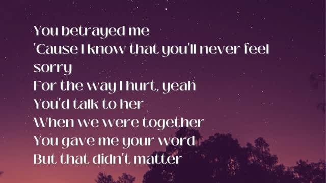 traitor by Olivia Rodrigo with Lyrics