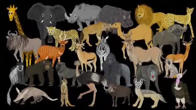 Animals in Africa - Slideshow for kids (educational and fun video)