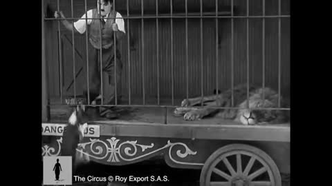 هتموت من ضحك مع شارلي شابلن هوا مع الاسد You will die of laughter Charlie Chaplin, with the lion