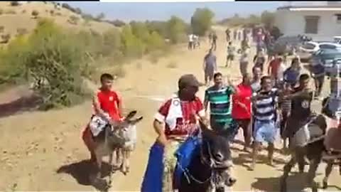 donkey rally