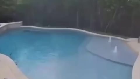 FALLING INTO POOL | What A Save