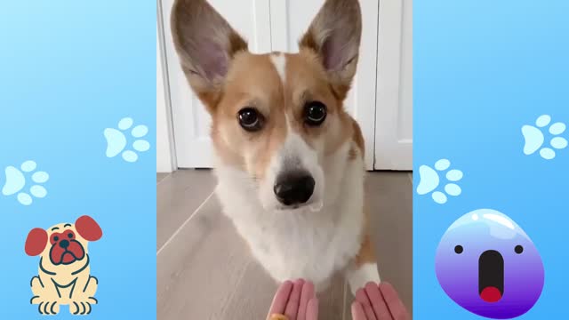 WTF you tricked me
