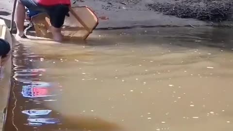 This is a beautiful and charming water-dwelling species