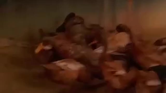 Lots Of Duck