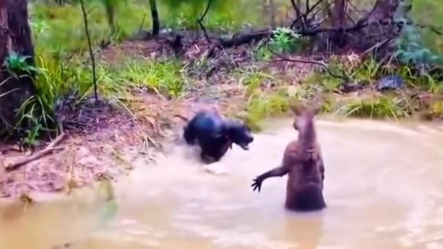 Wow, is this a water fight or a bath