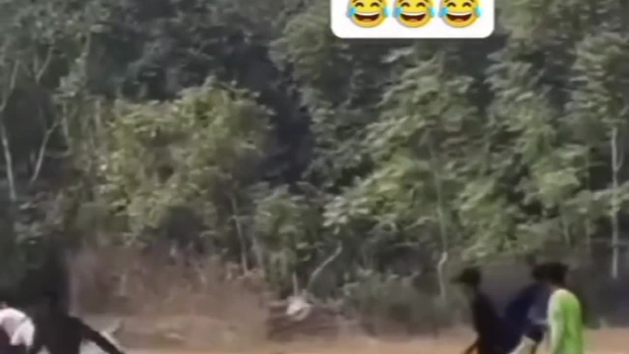 Animal funny video 🤣🤣