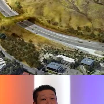 Are Wildlife Bridges Safe For Urban Communities