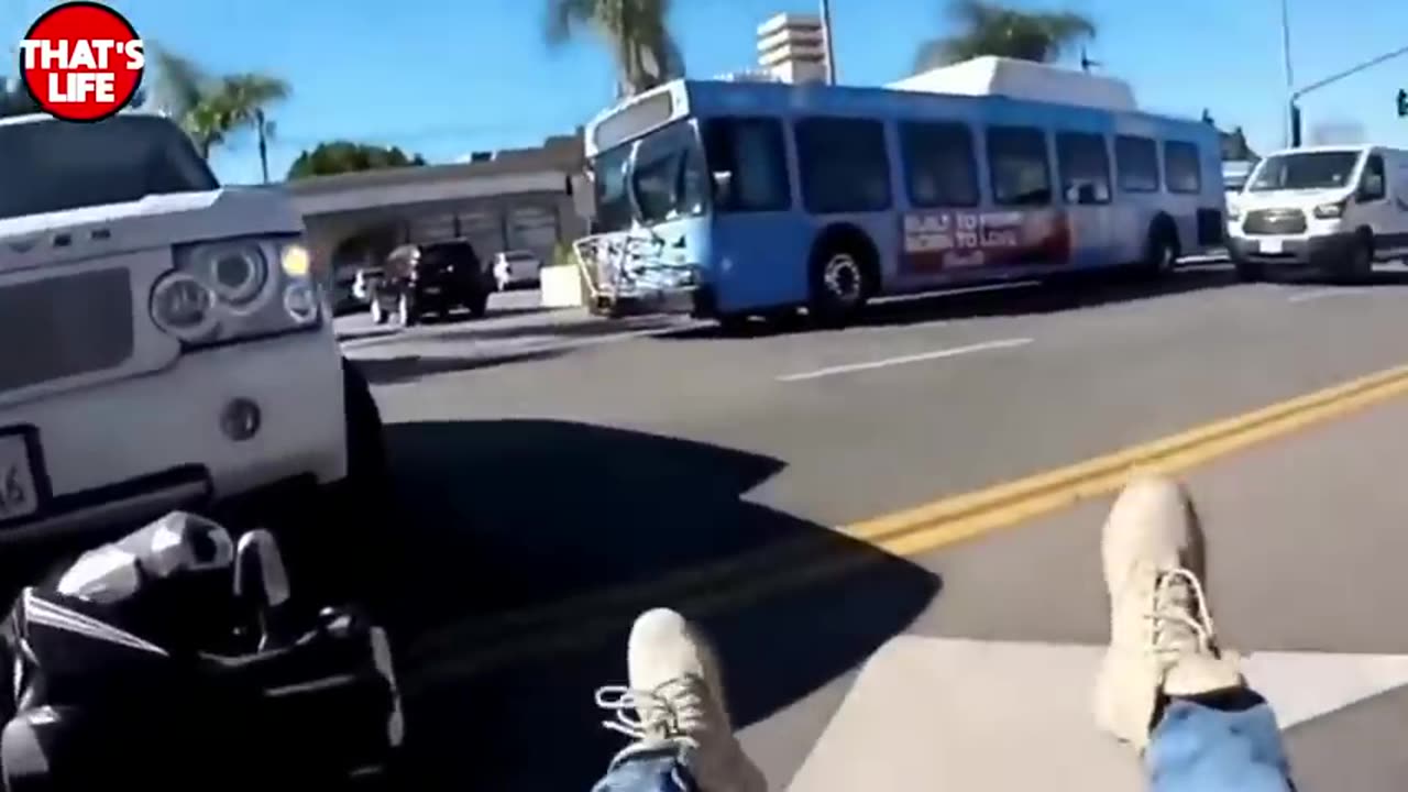 Traffic Fails Frenzy: Hilarious Moments on the Road!