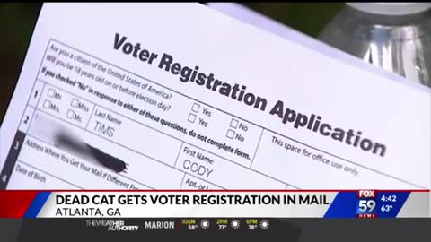 Odd I didn’t know dead cats can vote in Georgia.