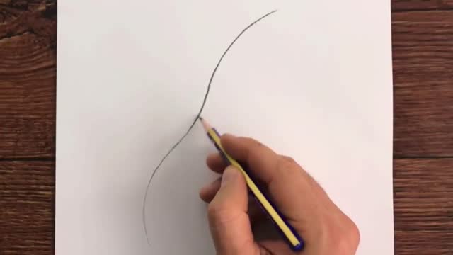 Outline The Shape Of Half Of The Girl's Hair.