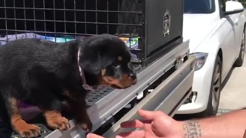 Watch to see if she jumped!! 😍🥰😍