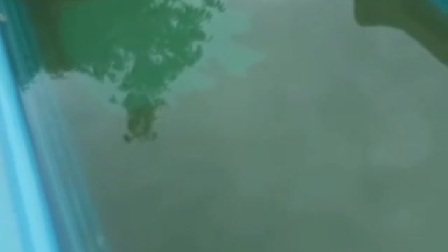 De olho na limpeza