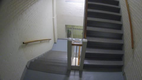 3883FHOB03Stair7_2021-01-06_06h42min39s987ms.mp4
