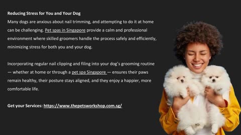 Professional Pet Spa Services: Keeping Your Dog’s Nails Healthy — The Pets Workshop