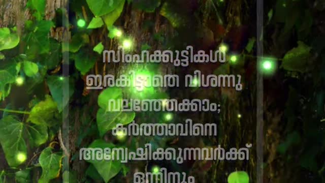 Bible Verse - Shorts Fr. Daniel Poovannathil