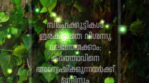 Bible Verse - Shorts Fr. Daniel Poovannathil