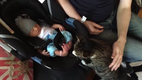 Cats Meeting Babies for the FIRST Time Compilation(2021)