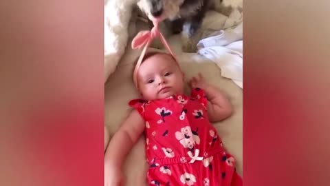 Dogs are the best friend of Babies 27