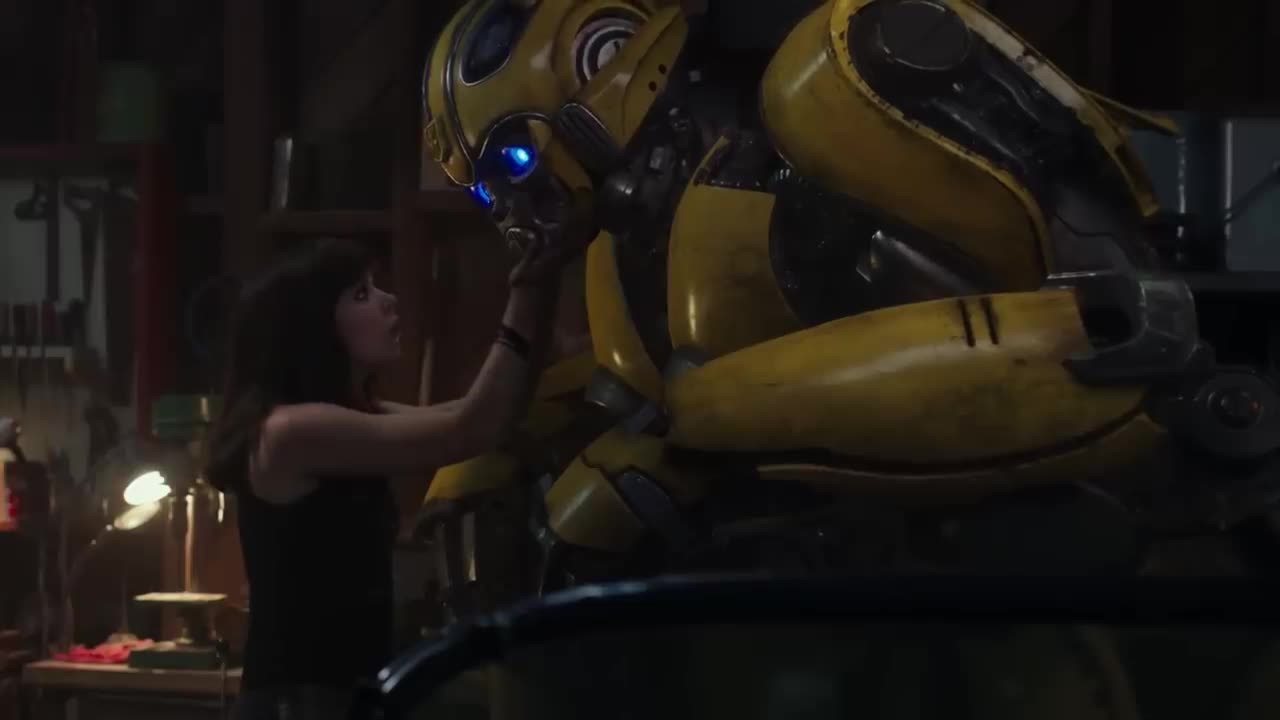 Bumblebee Being Adorable for 7 Minutes