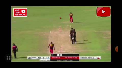 Cricket dhamaka