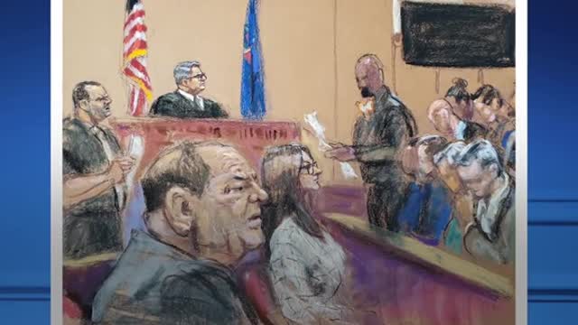 Weinstein Wanted Courtroom Sketch Artist to Give Him More Hair