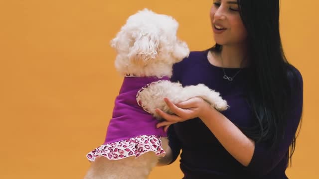 Dog videos.cute dog videos.