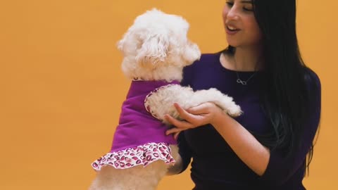 Dog videos.cute dog videos.
