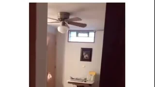 Fanny videos