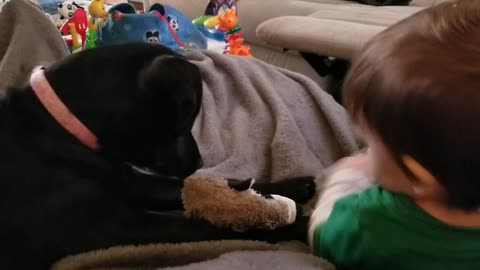 Epic tug of war between puppy and baby.
