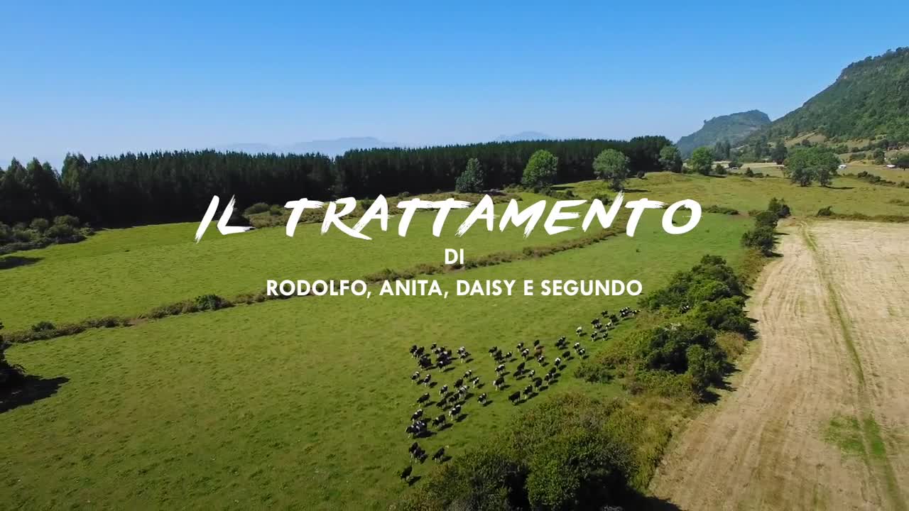 Cosa fare in Cile: Gastronomia Cile - Natura Aperta