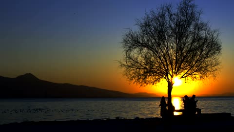 Silhouettes of people by the sea at sunset