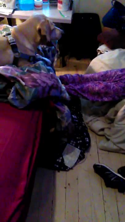 Alexis and Elsa playing part 1