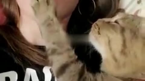 Kitty Can't Get Enough Kisses, can't get enough, disco, comedy, funny, love, kiss, shorts, #shorts