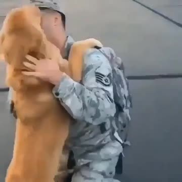 Like this video funny